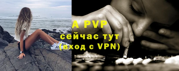 a pvp Аркадак