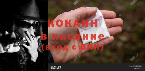 прущие грибы Россошь